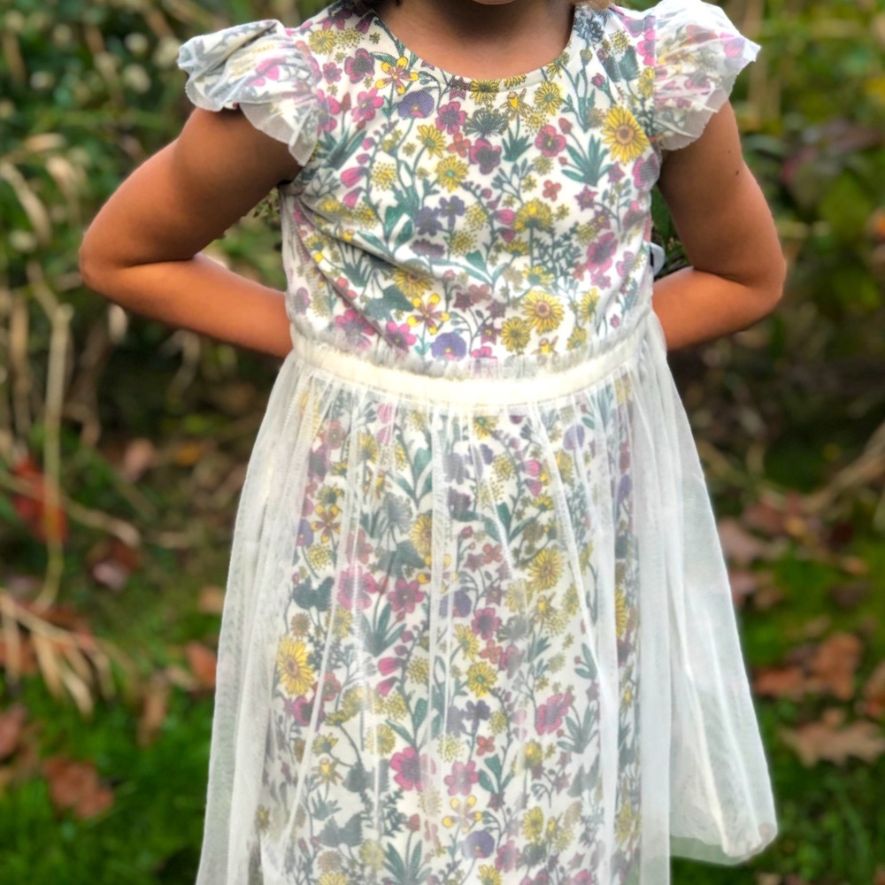 EUC Hanna Andersson lace overlay dress, 3T